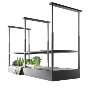 Hota insula Falmec Spazio